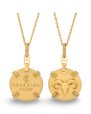 Pre-order: Zodiac Necklace Small