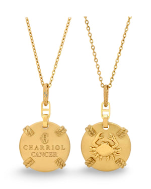 Pre-order: Zodiac Necklace Small