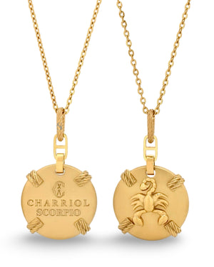 Pre-order: Zodiac Necklace Small