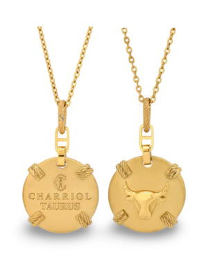 Pre-order: Zodiac Necklace Small