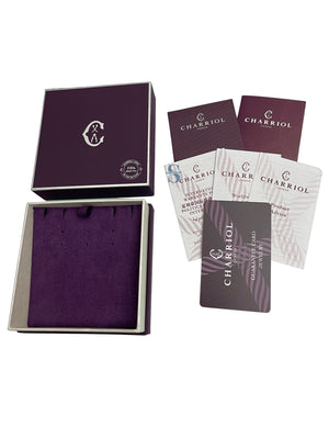 Pre-order: Forever Necklace