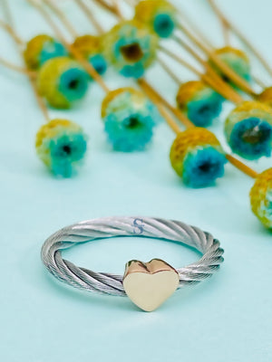 Pre-order: Passion Rings
