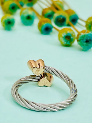 Pre-order: Passion Rings