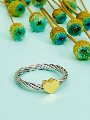Pre-order: Passion Rings
