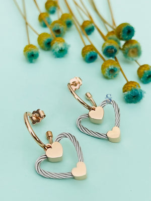 Pre-order: Passion Earrings