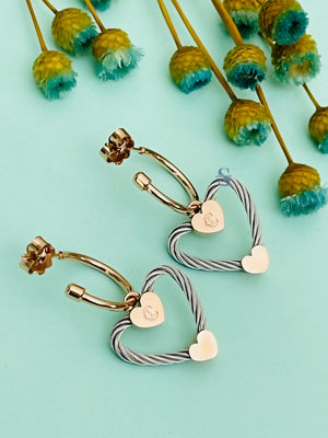 Pre-order: Passion Earrings