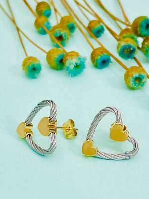 Pre-order: Passion Earrings