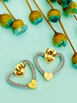 Pre-order: Passion Earrings
