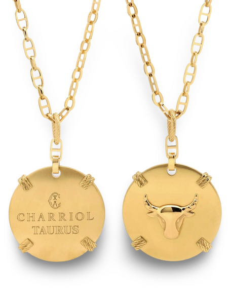 Zodiac Necklace Large